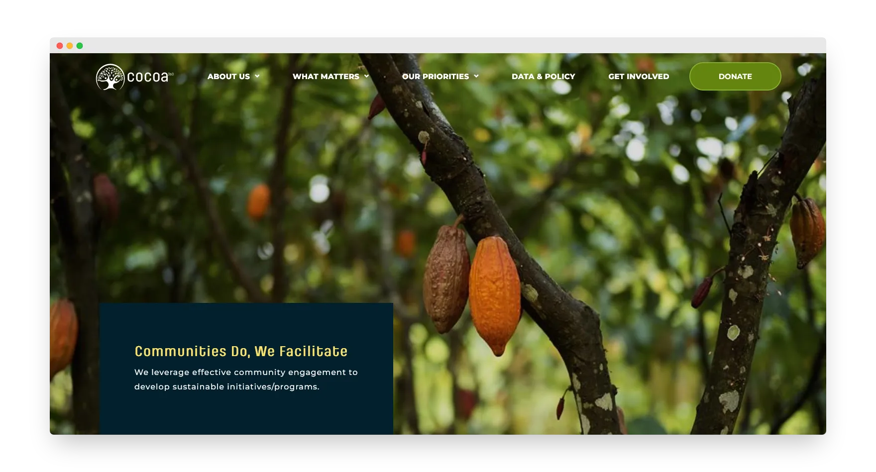Cocoa360 Website